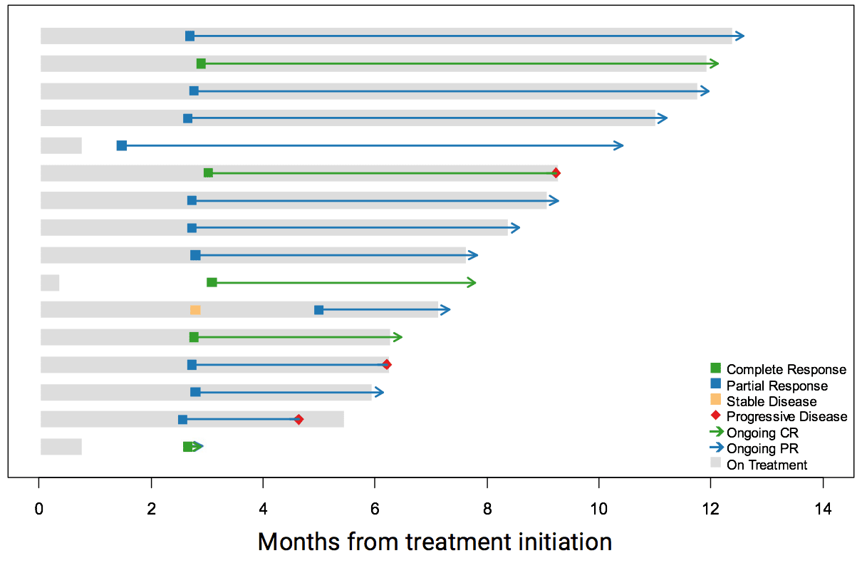 The 16 patients who had initial response to treatment. Fourteen had confirmed response and 12 of those had a continued response at the end of the trial.