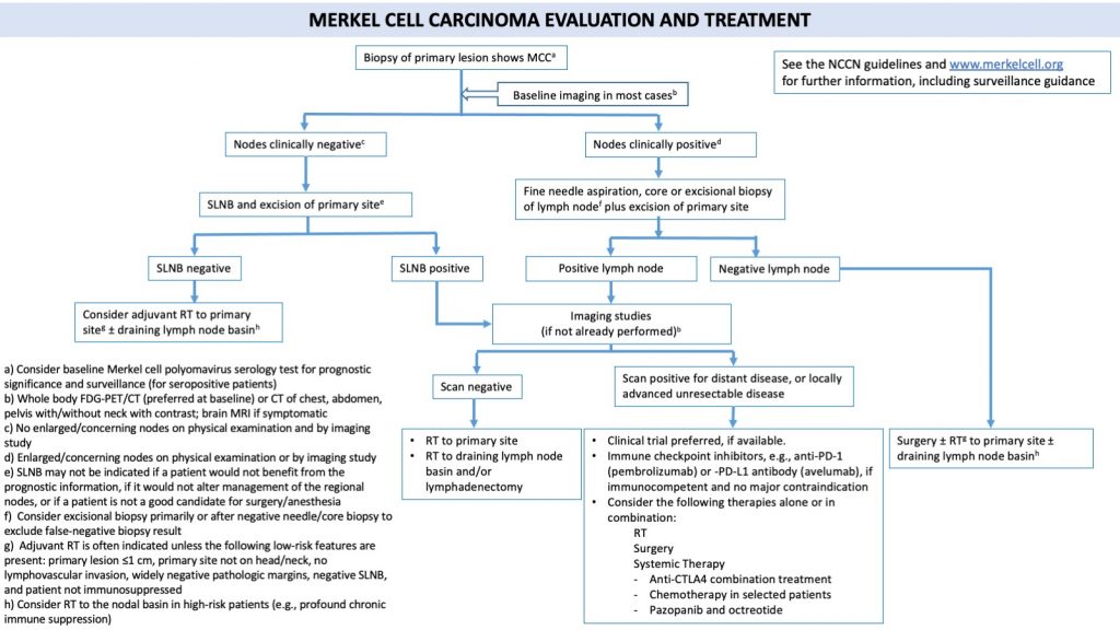 Merkel cell carcinoma Management Flowchart - Merkel Cell Carcinoma